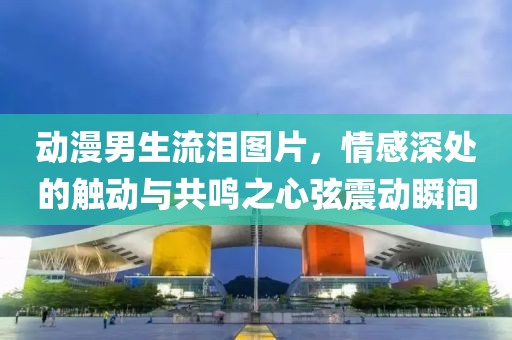 动漫男生流泪图片，情感深处的触动与共鸣之心弦震动瞬间