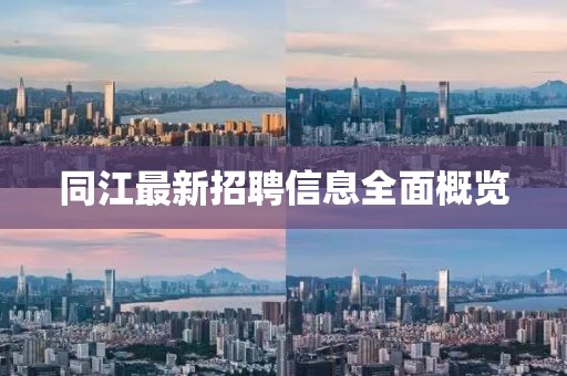 同江最新招聘信息全面概览