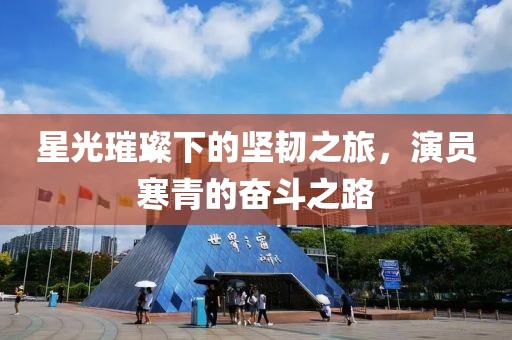 星光璀璨下的坚韧之旅，演员寒青的奋斗之路