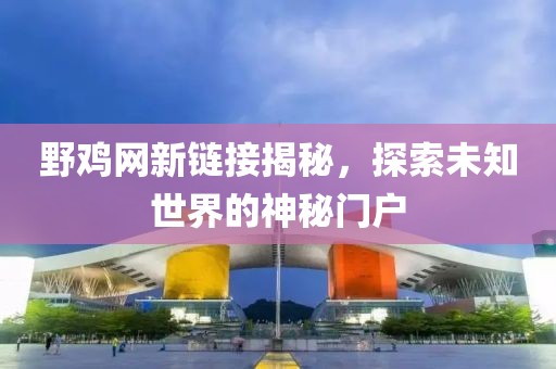 野鸡网新链接揭秘，探索未知世界的神秘门户