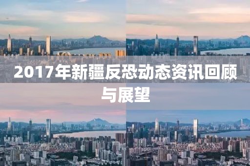 2017年新疆反恐动态资讯回顾与展望