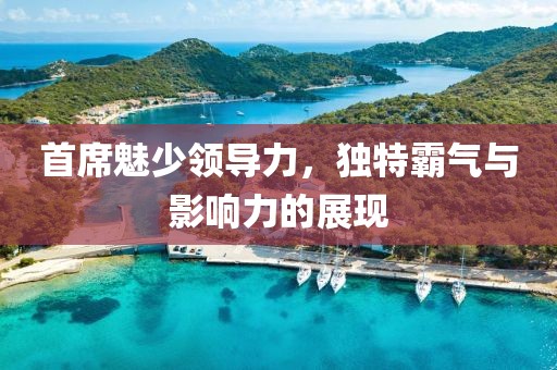 首席魅少领导力，独特霸气与影响力的展现