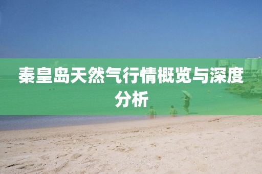 秦皇岛天然气行情概览与深度分析
