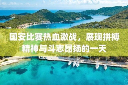 国安比赛热血激战，展现拼搏精神与斗志昂扬的一天