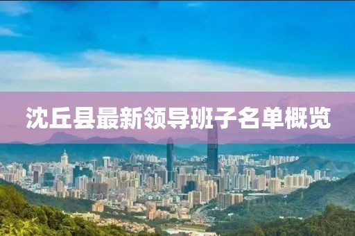 沈丘县最新领导班子名单概览