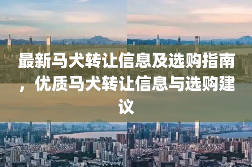 最新马犬转让信息及选购指南，优质马犬转让信息与选购建议