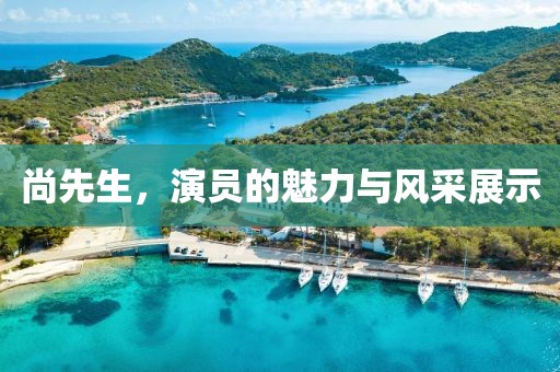 尚先生，演员的魅力与风采展示