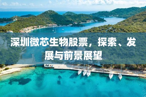 深圳微芯生物股票，探索、发展与前景展望