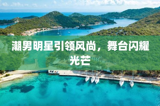 潮男明星引领风尚，舞台闪耀光芒
