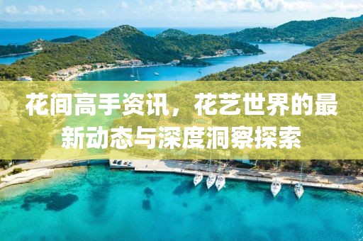 花间高手资讯，花艺世界的最新动态与深度洞察探索