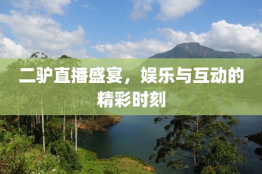 二驴直播盛宴，娱乐与互动的精彩时刻