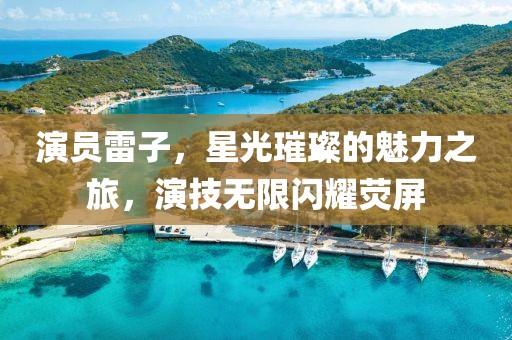 演员雷子，星光璀璨的魅力之旅，演技无限闪耀荧屏