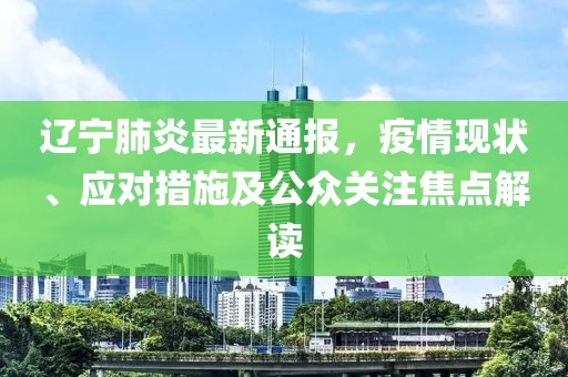 辽宁肺炎最新通报，疫情现状、应对措施及公众关注焦点解读