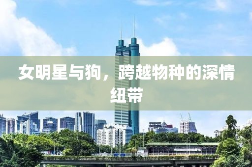 女明星与狗，跨越物种的深情纽带