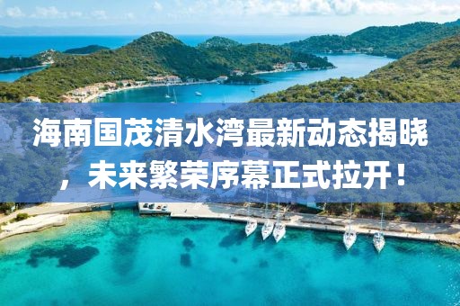 海南国茂清水湾最新动态揭晓，未来繁荣序幕正式拉开！
