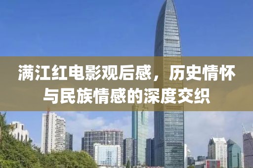 满江红电影观后感，历史情怀与民族情感的深度交织
