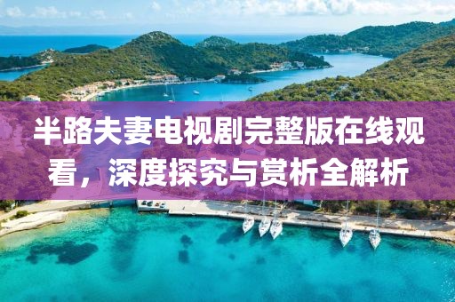 半路夫妻电视剧完整版在线观看，深度探究与赏析全解析