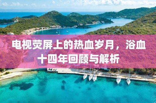 电视荧屏上的热血岁月，浴血十四年回顾与解析