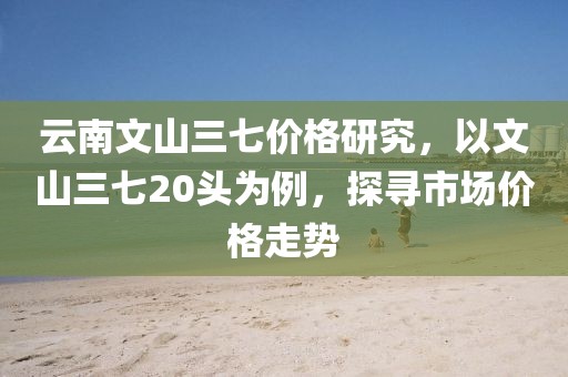 云南文山三七价格研究，以文山三七20头为例，探寻市场价格走势