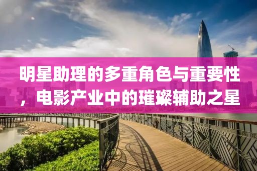 明星助理的多重角色与重要性，电影产业中的璀璨辅助之星