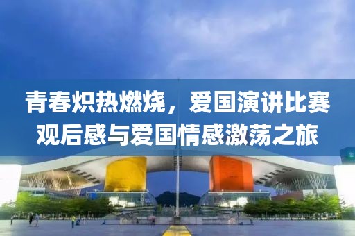 青春炽热燃烧，爱国演讲比赛观后感与爱国情感激荡之旅