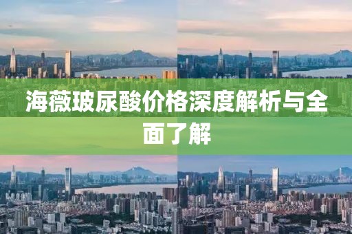 海薇玻尿酸价格深度解析与全面了解
