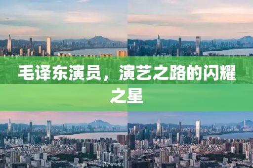 毛译东演员，演艺之路的闪耀之星