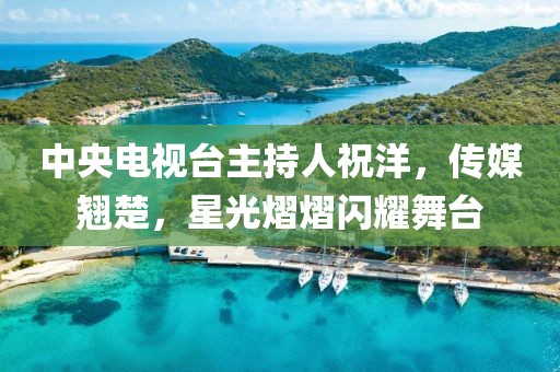中央电视台主持人祝洋，传媒翘楚，星光熠熠闪耀舞台
