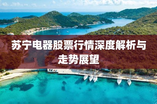 苏宁电器股票行情深度解析与走势展望