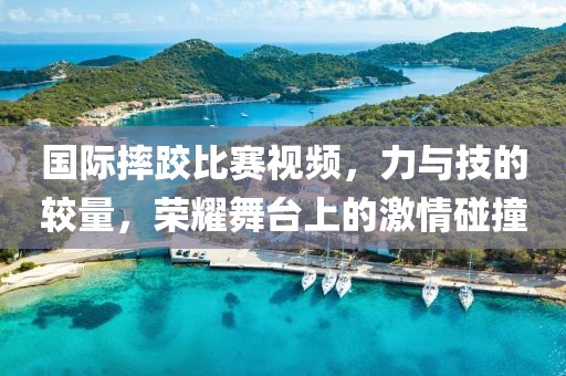 国际摔跤比赛视频，力与技的较量，荣耀舞台上的激情碰撞