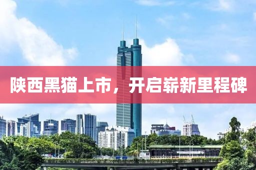 陕西黑猫上市，开启崭新里程碑