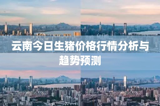 云南今日生猪价格行情分析与趋势预测