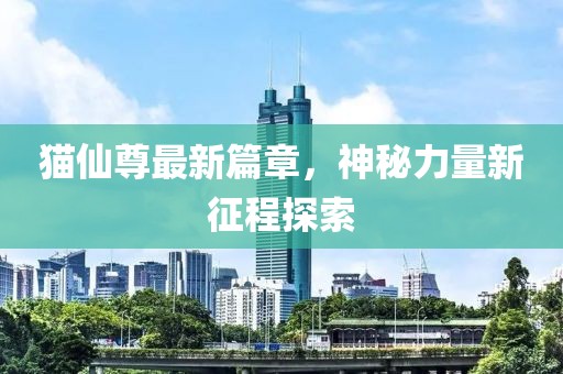 猫仙尊最新篇章，神秘力量新征程探索