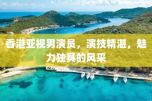 香港亚视男演员，演技精湛，魅力独具的风采