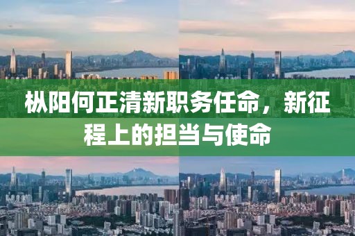 枞阳何正清新职务任命，新征程上的担当与使命