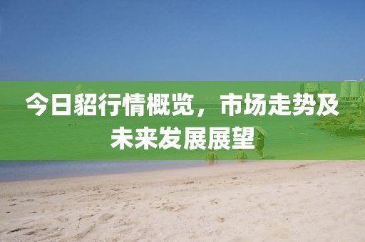 今日貂行情概览，市场走势及未来发展展望
