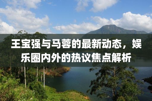 王宝强与马蓉的最新动态，娱乐圈内外的热议焦点解析