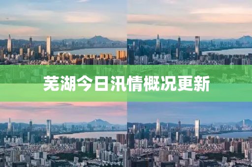 芜湖今日汛情概况更新