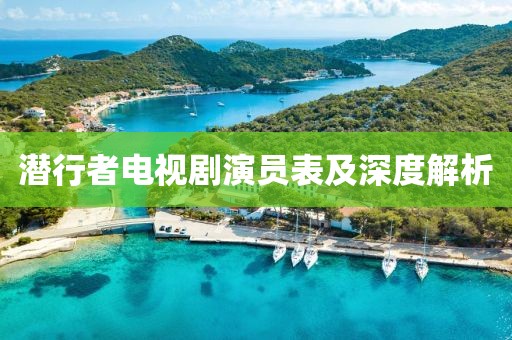潜行者电视剧演员表及深度解析