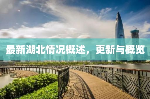 最新湖北情况概述，更新与概览
