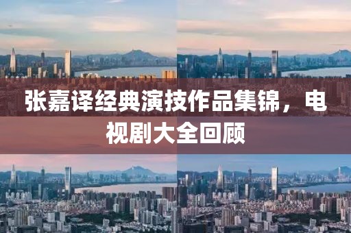 张嘉译经典演技作品集锦，电视剧大全回顾
