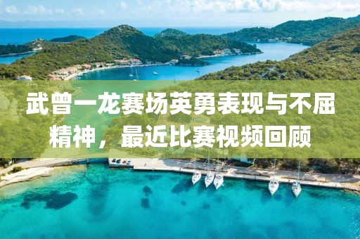 武曾一龙赛场英勇表现与不屈精神，最近比赛视频回顾