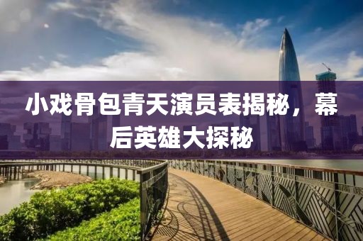 小戏骨包青天演员表揭秘，幕后英雄大探秘