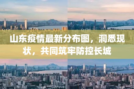 山东疫情最新分布图，洞悉现状，共同筑牢防控长城