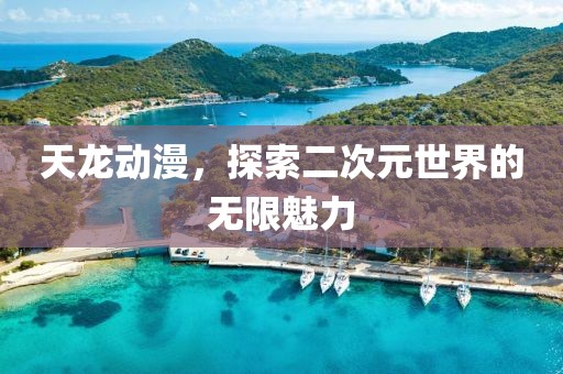 天龙动漫，探索二次元世界的无限魅力