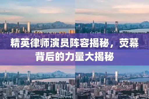 精英律师演员阵容揭秘，荧幕背后的力量大揭秘