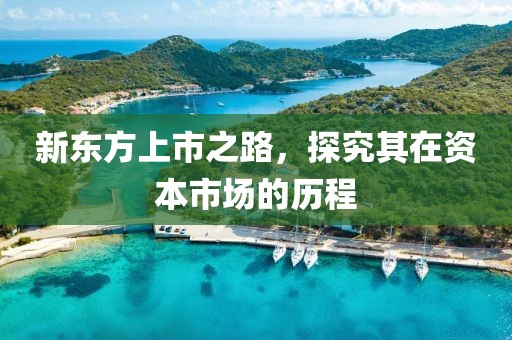 新东方上市之路，探究其在资本市场的历程