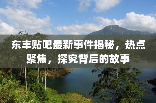 东丰贴吧最新事件揭秘，热点聚焦，探究背后的故事