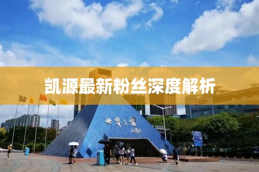 凯源最新粉丝深度解析