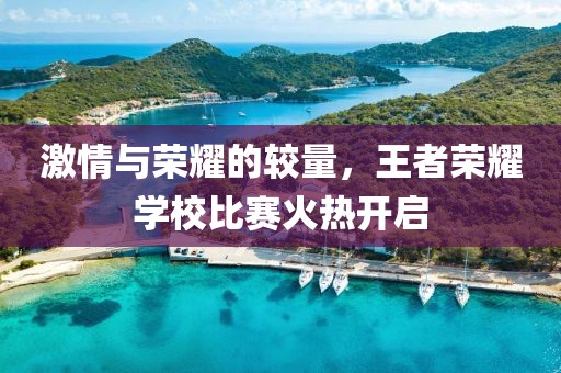 激情与荣耀的较量，王者荣耀学校比赛火热开启